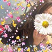 ヒメ日記 2025/05/02 11:44 投稿 なみ Love Life(ラブライフ) 池袋店