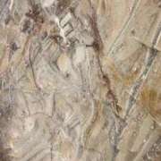 ヒメ日記 2025/05/06 06:14 投稿 きゅあ Love Life(ラブライフ) 池袋店