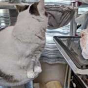 ヒメ日記 2025/01/23 16:07 投稿 まや 熟女総本店