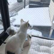 ヒメ日記 2025/02/09 18:21 投稿 まや 熟女総本店