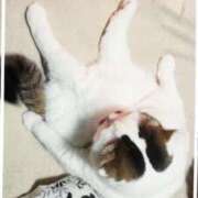 ヒメ日記 2025/02/20 16:45 投稿 まや 熟女総本店