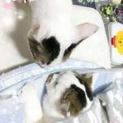 ヒメ日記 2025/03/13 16:27 投稿 まや 熟女総本店