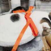 ヒメ日記 2025/03/21 16:46 投稿 まや 熟女総本店