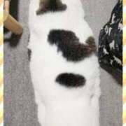 ヒメ日記 2025/03/28 16:45 投稿 まや 熟女総本店