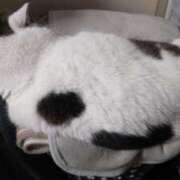 ヒメ日記 2025/04/09 16:25 投稿 まや 熟女総本店