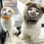 ヒメ日記 2025/04/13 18:45 投稿 まや 熟女総本店