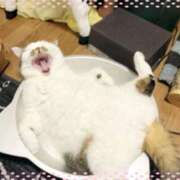 ヒメ日記 2025/04/20 18:35 投稿 まや 熟女総本店