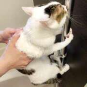 ヒメ日記 2025/04/24 16:45 投稿 まや 熟女総本店