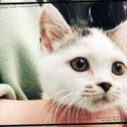 ヒメ日記 2025/05/06 10:57 投稿 まや 熟女総本店