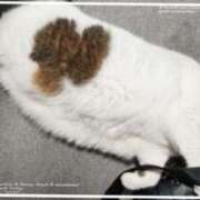 ヒメ日記 2025/05/10 16:35 投稿 まや 熟女総本店