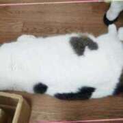 ヒメ日記 2025/05/14 16:45 投稿 まや 熟女総本店