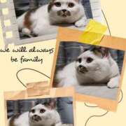 ヒメ日記 2025/05/24 16:39 投稿 まや 熟女総本店