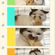 ヒメ日記 2025/05/29 16:15 投稿 まや 熟女総本店