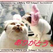 ヒメ日記 2025/05/31 16:35 投稿 まや 熟女総本店