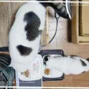 ヒメ日記 2025/06/08 16:35 投稿 まや 熟女総本店