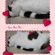 ヒメ日記 2025/06/13 16:45 投稿 まや 熟女総本店