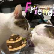 ヒメ日記 2025/06/14 16:45 投稿 まや 熟女総本店