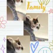 ヒメ日記 2025/06/21 17:25 投稿 まや 熟女総本店