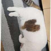 ヒメ日記 2025/06/25 17:25 投稿 まや 熟女総本店