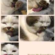 ヒメ日記 2025/06/28 17:25 投稿 まや 熟女総本店