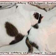 ヒメ日記 2025/07/03 17:28 投稿 まや 熟女総本店