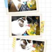 ヒメ日記 2025/07/05 18:05 投稿 まや 熟女総本店