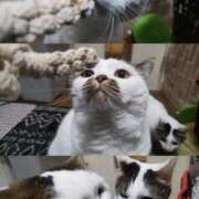 ヒメ日記 2025/07/10 17:25 投稿 まや 熟女総本店