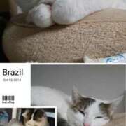 ヒメ日記 2025/07/12 17:25 投稿 まや 熟女総本店