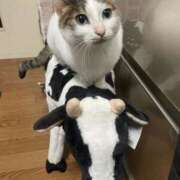 ヒメ日記 2025/08/04 01:45 投稿 まや 熟女総本店