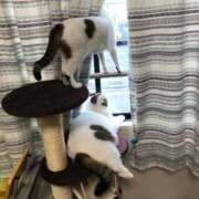 ヒメ日記 2025/09/09 03:05 投稿 まや 熟女総本店