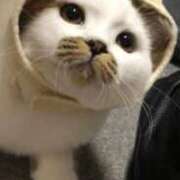 ヒメ日記 2025/09/12 06:45 投稿 まや 熟女総本店