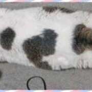 ヒメ日記 2025/10/09 07:35 投稿 まや 熟女総本店