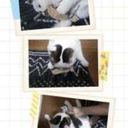 ヒメ日記 2025/10/18 19:55 投稿 まや 熟女総本店