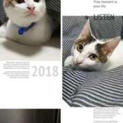 ヒメ日記 2025/10/21 00:45 投稿 まや 熟女総本店