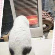 ヒメ日記 2025/10/24 07:25 投稿 まや 熟女総本店