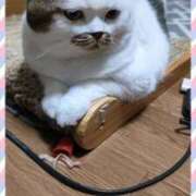 ヒメ日記 2025/11/14 22:05 投稿 まや 熟女総本店