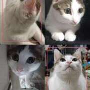 ヒメ日記 2025/12/05 13:38 投稿 まや 熟女総本店