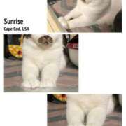 ヒメ日記 2025/12/21 08:09 投稿 まや 熟女総本店