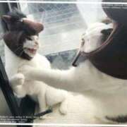 ヒメ日記 2026/01/03 08:48 投稿 まや 熟女総本店