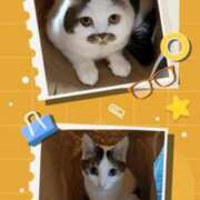 ヒメ日記 2026/01/11 00:52 投稿 まや 熟女総本店