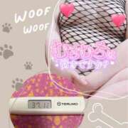 はつね ちょっとだけダウン😰 熟女の風俗最終章 新宿店