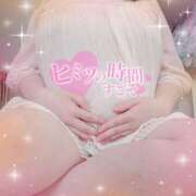 ヒメ日記 2026/04/03 12:42 投稿 はつね 熟女の風俗最終章 池袋店