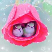 ヒメ日記 2025/03/12 11:54 投稿 伊藤 熟女デリヘル倶楽部