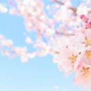 ヒメ日記 2025/03/15 14:42 投稿 伊藤 熟女デリヘル倶楽部