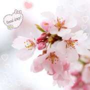 ヒメ日記 2025/03/30 13:35 投稿 伊藤 熟女デリヘル倶楽部