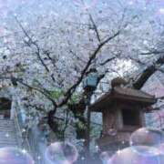 ヒメ日記 2025/04/06 12:21 投稿 伊藤 熟女デリヘル倶楽部