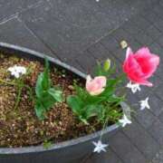 ヒメ日記 2025/04/10 10:32 投稿 伊藤 熟女デリヘル倶楽部