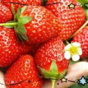 ヒメ日記 2025/04/16 12:12 投稿 伊藤 熟女デリヘル倶楽部