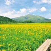 ヒメ日記 2025/04/17 11:29 投稿 伊藤 熟女デリヘル倶楽部