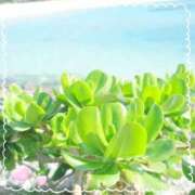 ヒメ日記 2025/05/15 12:58 投稿 伊藤 熟女デリヘル倶楽部